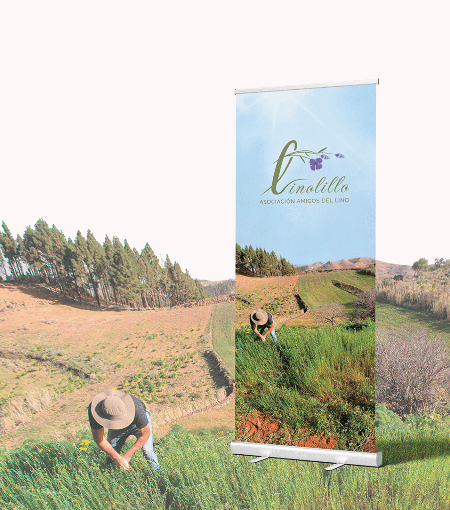 Mockup Roll up Linolillo